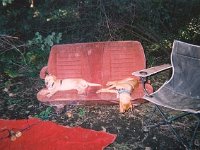 photos 2000-200901573